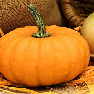 Halloween in casa con le zucche Made in Liguria: dalla padella all’intaglio tutti i segreti per saper riconoscere e preparare il più grande ortaggio del mondo